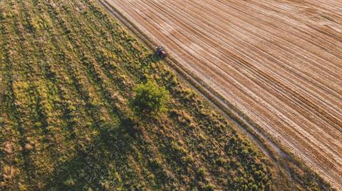 Come Recuperare Insufficienze Agraria