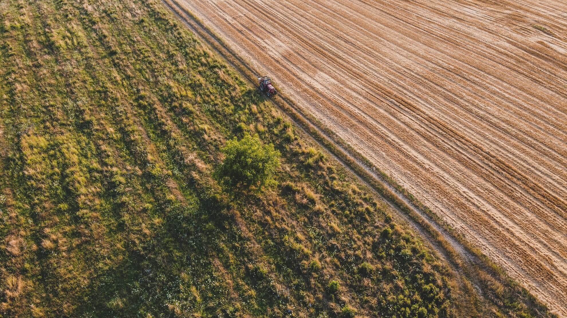 Come Recuperare Insufficienze Agraria