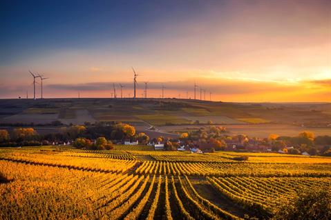 Conseguire e Prendere il Diploma di Agraria